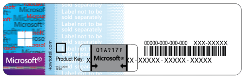 New Conifer COA design